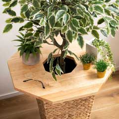 オクタゴン型天然木プランター天板｜観葉植物をおしゃれに魅せるテーブル化アイテム