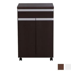 スタイリッシュなデザインのダストボックス＆キッチンカウンター | 幅55cm