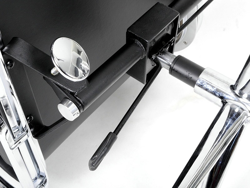 アルミナムチェア 【ローバック/ソフトパッド】イームズ