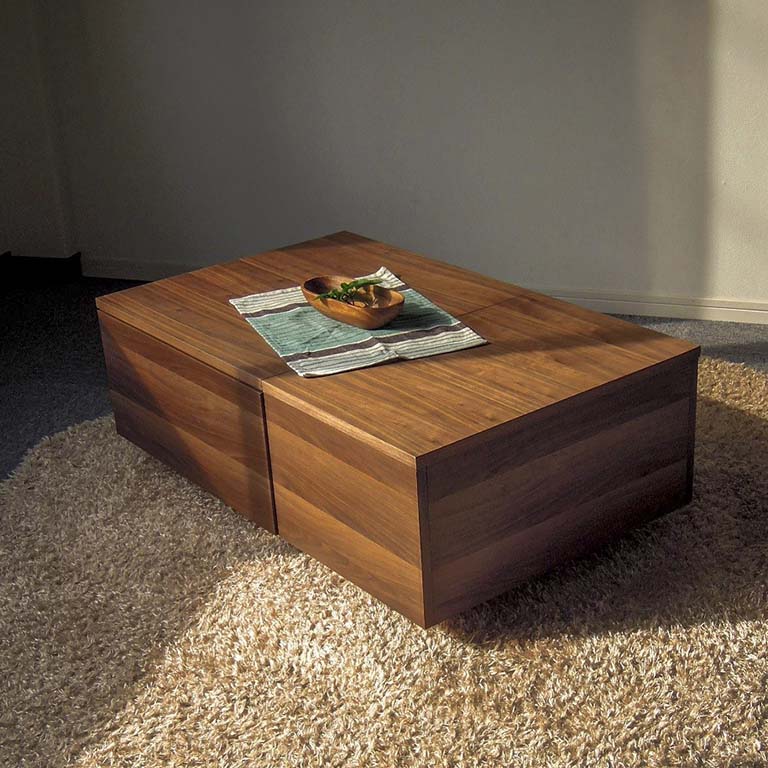 センターテーブル 収納たくさん ブラウン CI 【幅100cm】 おしゃれな収納