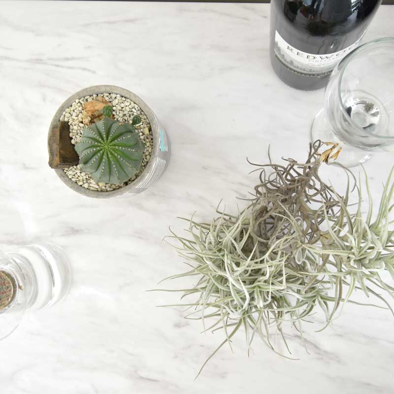 キッチン用ゴミ箱収納｜幅120cmのダストカウンター｜美しく隠す上品なキッチン収納