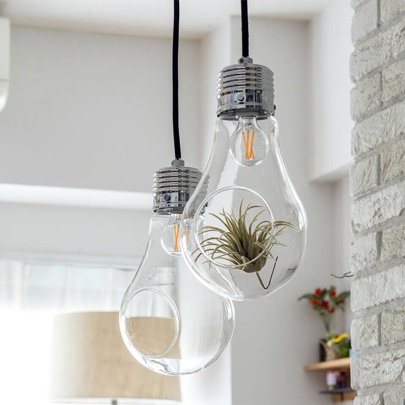 大型電球 ペンダントライト ガラス LED フェイクグリーン 楽天市場】【BLACK FRYDAY限定クーポン配布中】【☆】LED電球付属