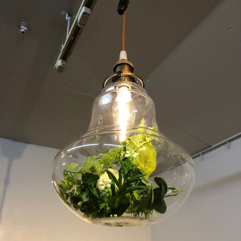 観葉植物×照明｜1灯ペンダントライト｜LED | インテリア・家具の