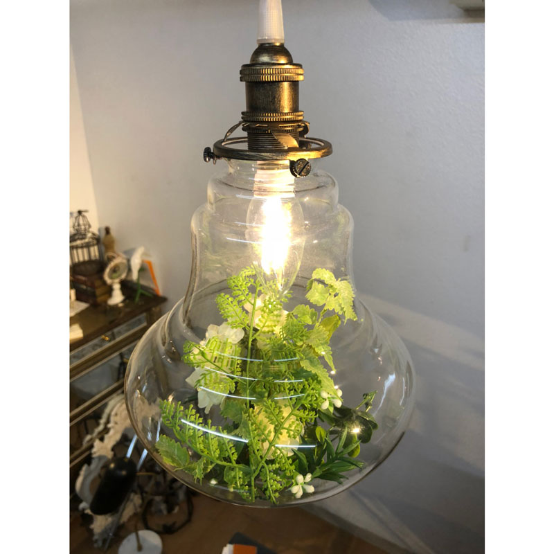 観葉植物×照明｜1灯ペンダントライト｜LED | インテリア・家具の