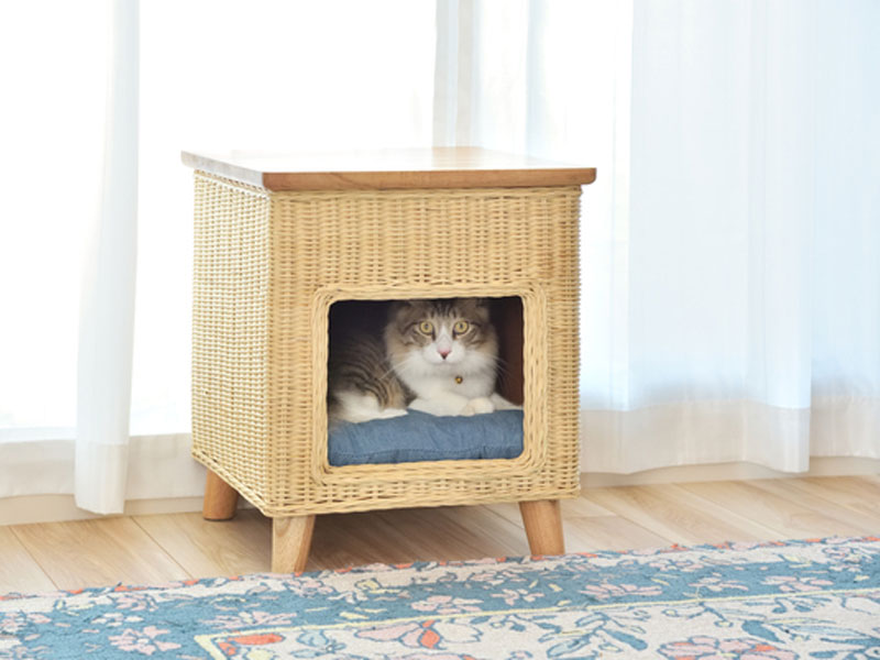 天然木とラタンのペットハウス｜スツールとして使えます