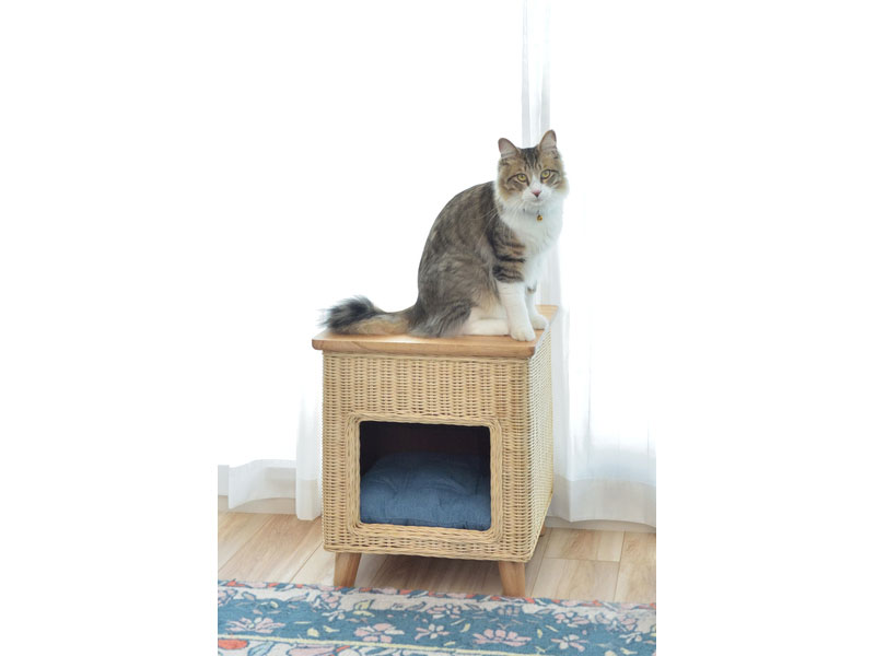 天然木とラタンのペットハウス｜スツールとして使えます