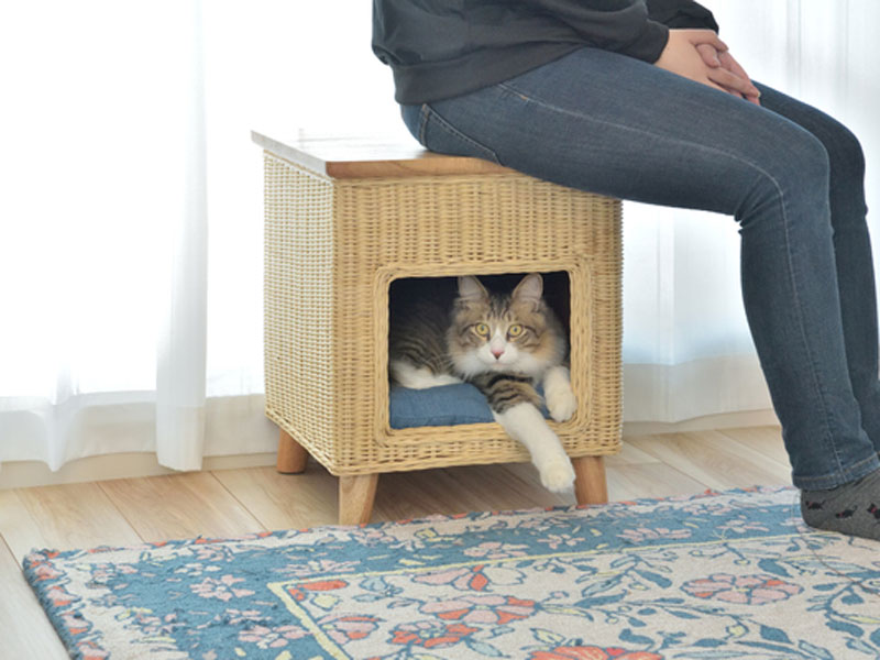 天然木とラタンのペットハウス｜スツールとして使えます