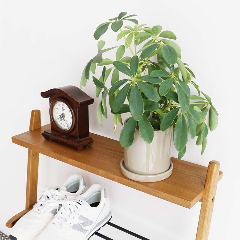 木目×スチールのスタイリッシュシューズラック｜ナチュラルモダン玄関収納