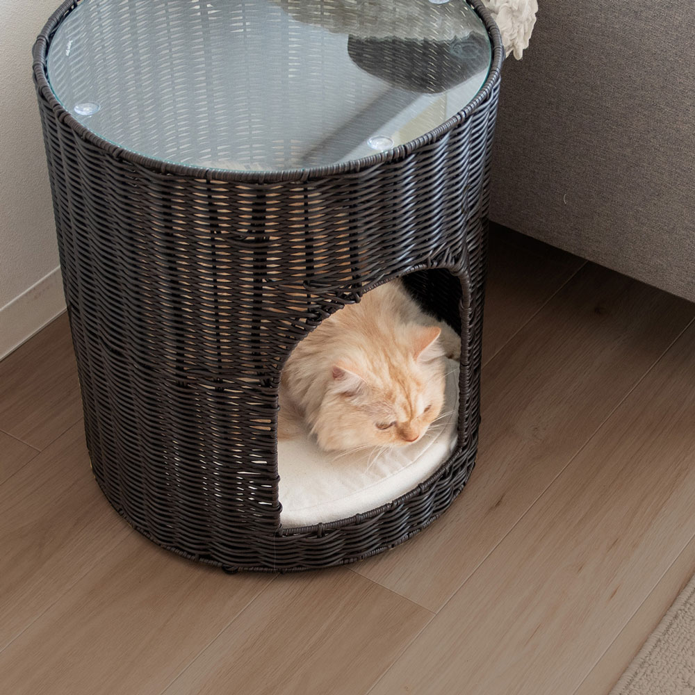 樹脂ラタン×ガラス天板のおしゃれキャットハウス | インテリア・家具の