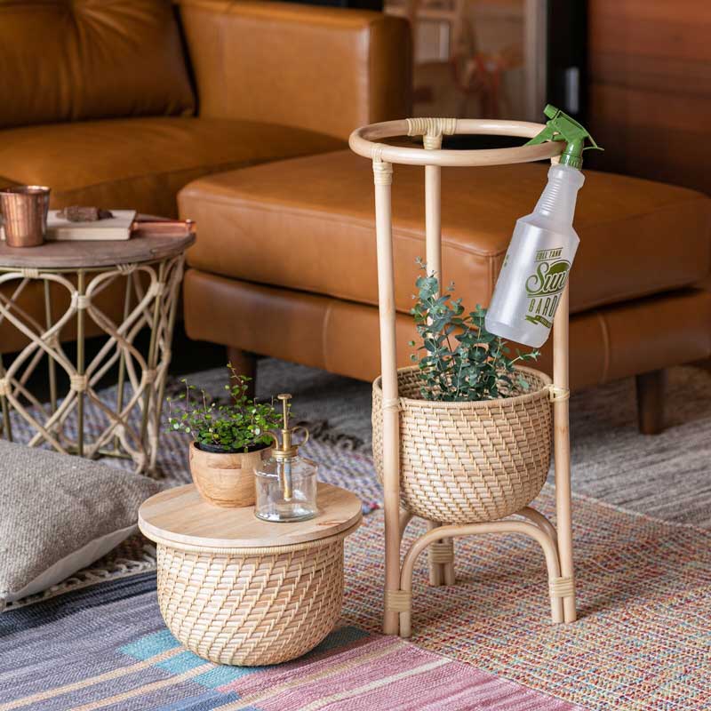 ラタン製のグリーンポット｜木製蓋つき | インテリア・家具の通販