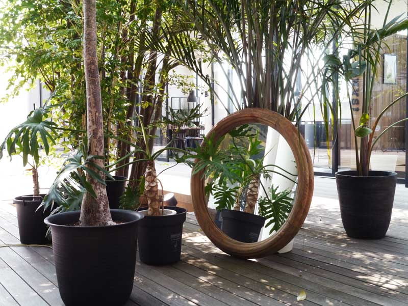 オールドパインの上品なヴィンテージライクのラウンドミラー|MOSH