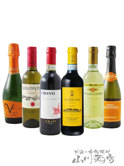 厳選ワインハーフボトルセット ( 375ml×6本 ) / イタリア・チリ