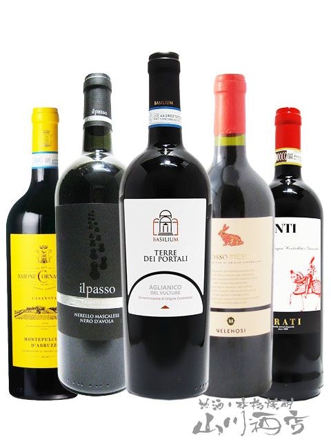 厳選イタリア赤ワイン5本セット ( 750ml ×5 ) 【 4162 】 【 送料無料