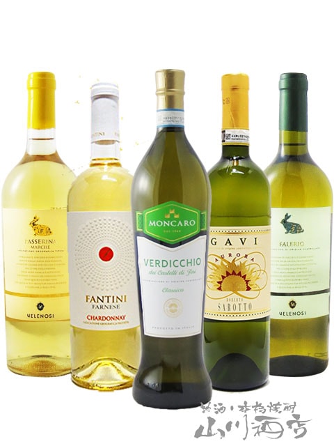 厳選イタリア白ワインセット ( 750ml ×5本 ) 【 4853 】 【 送料無料