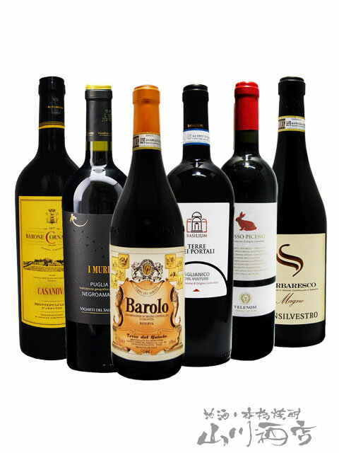 厳選イタリア赤ワインセット ( 750ml ×6本 ) 【 4855 】 【 送料無料