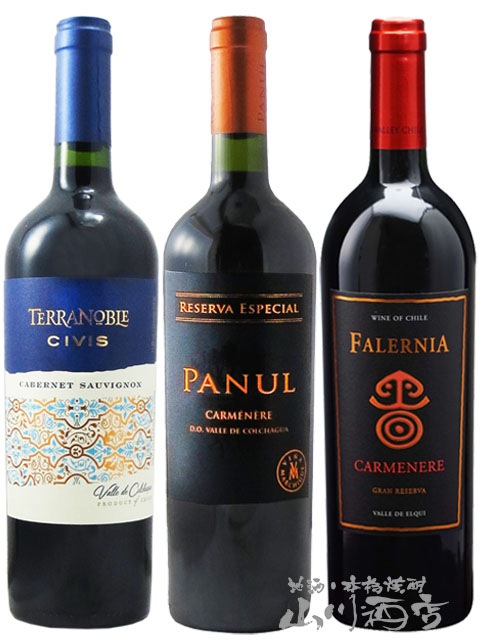 厳選チリ赤ワインセット ( 750ml ×3本 ) 【 2667 】 【 送料無料