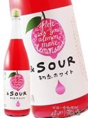 ۥ磻 1.8L / ʡ Ӽ¤Ź  4879   ꥭ塼 