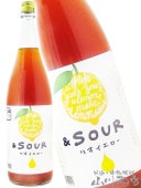 ꤹ 1.8L / ʡ Ӽ¤Ź  4892   ꥭ塼 