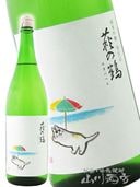 ����� �̻Ź�  ���Ƥ�ǭ 1.8L/ �ܾ븩 �����¤�� 5435 �ۡ� ���ܼ� �ۡ� ����¢ ��