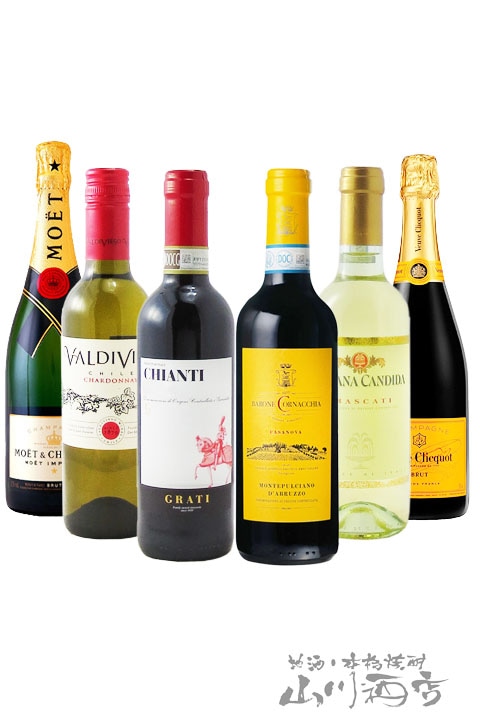 厳選ワインハーフボトルセット ( 375ml×6本 ) / フランス