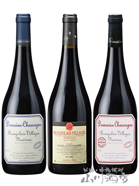 2025 ボジョレー・ヌーヴォー3本セット【 5976 】【 フランス赤ワイン