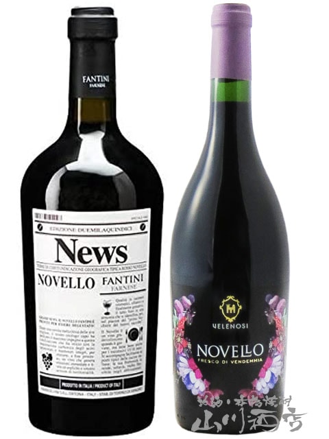 2025 厳選イタリア新酒『ノヴェッロ』 750ml 飲み比べ2本セット