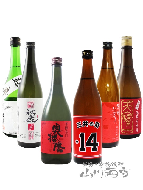 日本酒セット 8本 720ml 一部500ml 四合瓶 人気の日本酒 大辛口 飲み比べ 720ml 6本セット 【6636】【 日本酒