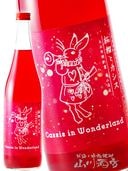 Ի׵ĤιΥ ·  (  ) ȥ 720ml / 츩 𻳾Ź 7099ۡ ߼ 