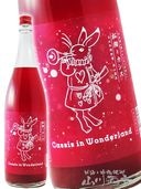 Ի׵ĤιΥ ·  (  ) ȥ 1.8L / 츩 𻳾Ź 7127ۡ ߼ 