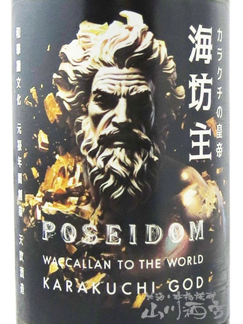天吹 ( あまぶき ) 超辛口純米酒 ポセイドン 火入 720ml/ 佐賀県 天吹