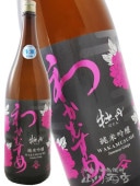 狼ह ƶ ð ( ܤ ) ̵ɲ 1.8L /  ë¤ 8167 ۡ ܼ ۡ ¢ 