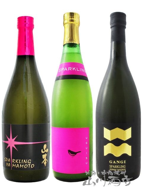 雁木 スパークリング日本酒と純米大吟醸　11本セット 0000000062322_AkGzVrs.jpg