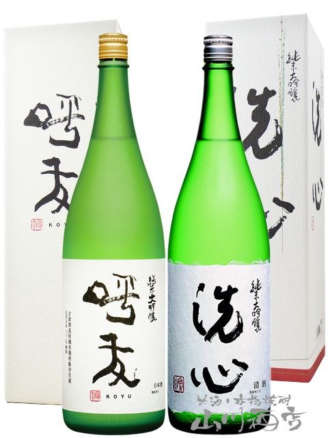 朝日酒造 飲み比べ 1.8L 2本セット 呼友 ( こゆう ) 純米大吟醸 + 洗心