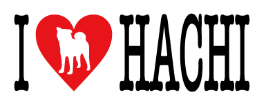 �ϥ������ƥå�����W120mm��H40mm