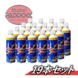 19ܥåȡۥѥե󥬥塼ȡTYPE R 480硡 å