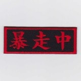 IXA�ѥå� ˽���� �ѥå�  IE-MP306��576��