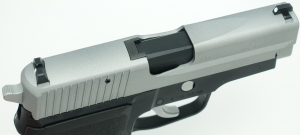タナカ モデルガン SIG P228 Two-Tone EVO2 frame HW | モデルガン