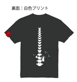 ���������� ����T�����