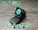 CAP FAN åץե ޤߤ