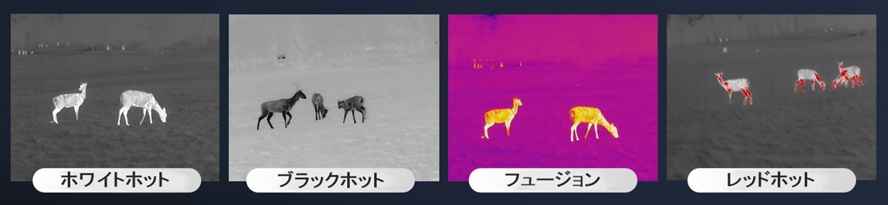 Ź5OFFݥHIKMICRO ޥӥ Ż륹 THUNDER TE19 2.0 HIK-TE1920