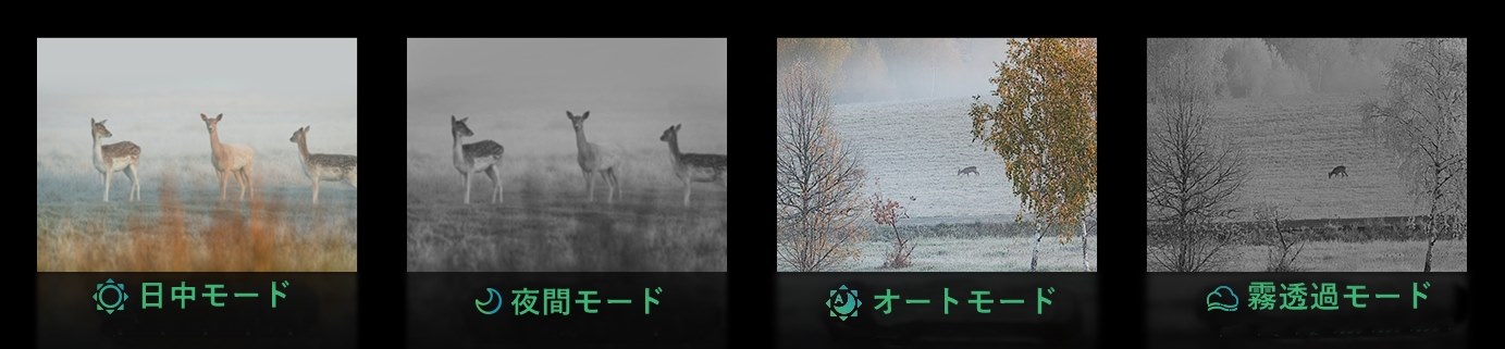 Ź5OFFݥHIKMICRO ǥʥȥӥ饤ե륹 Ż륹 CHEETAH HIK-C32FSN ϥޥ 