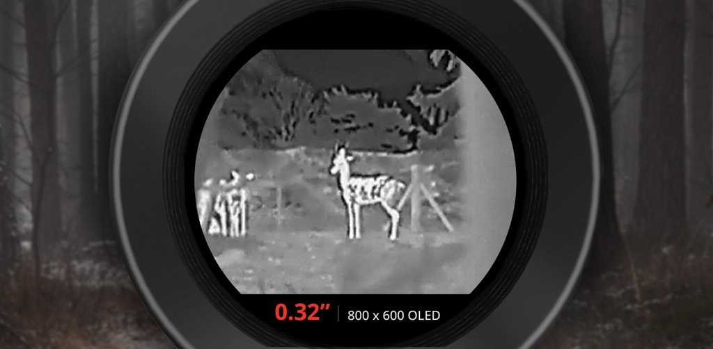 Ź5OFFݥHIKMICRO ޥñ㥹 Ż륹 LYNX S LE10S