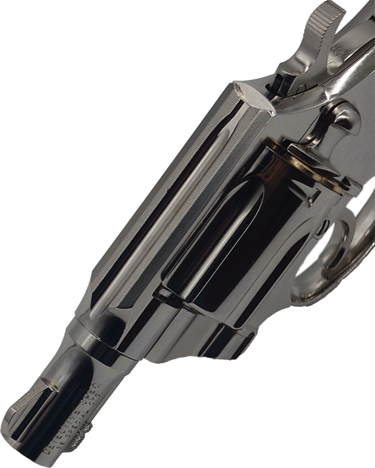 ʥ ǥ륬 ȥǥƥƥ ڥ Colt Detective Special 2inch R-model Nickel Finish 