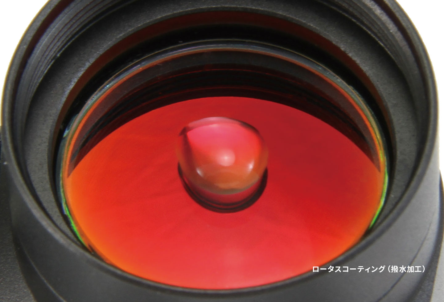 ��Ź������5��OFF�����ݥ��NOVEL ARMS �Ρ��٥륢���ॺ �ɥåȥ����� SURE HIT ARS ���奢�ҥå� (415)