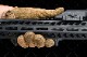 ��Ź������5��OFF�����ݥ��Strike Industries M-LOK�б� �ӥ��˥ϥ�ɥ��ȥå� 2������ ���ȥ饤����������ȥ꡼�� S05-040