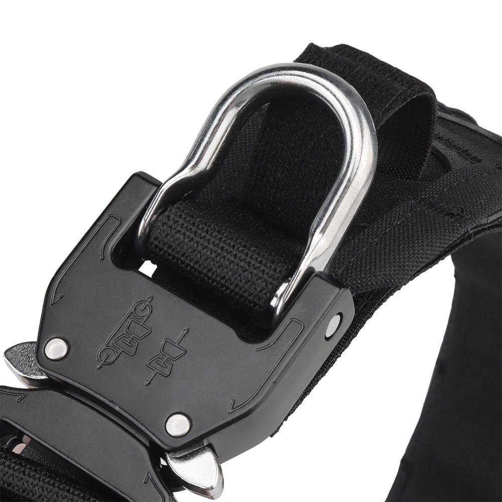 ��Ź������5��OFF�����ݥ��Ferro Bison������ �٥�� BK/CB/RG/WG/MC/MCBK
