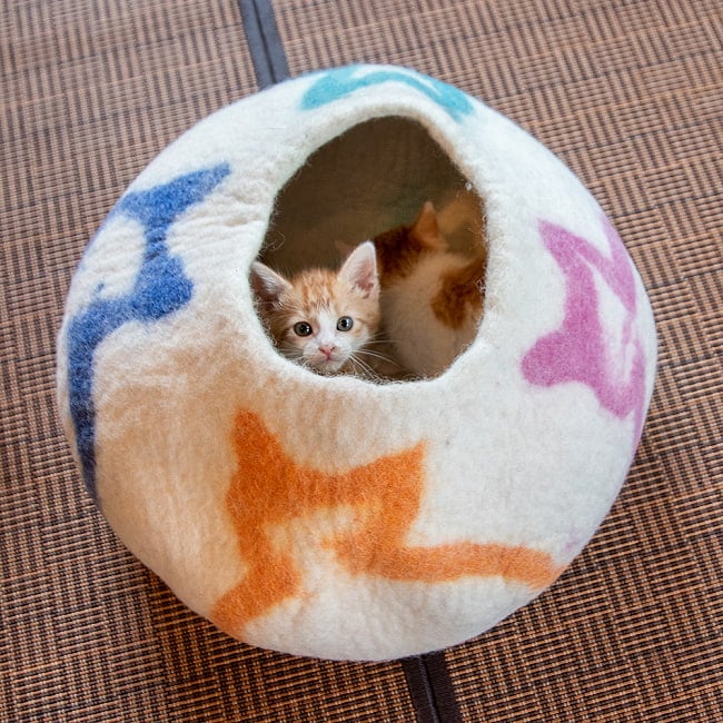 ネパールフェルトの猫ちぐら　ねこ