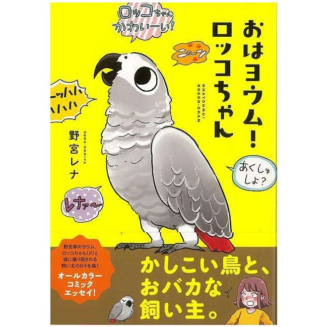 おはヨウム!ロッコちゃん