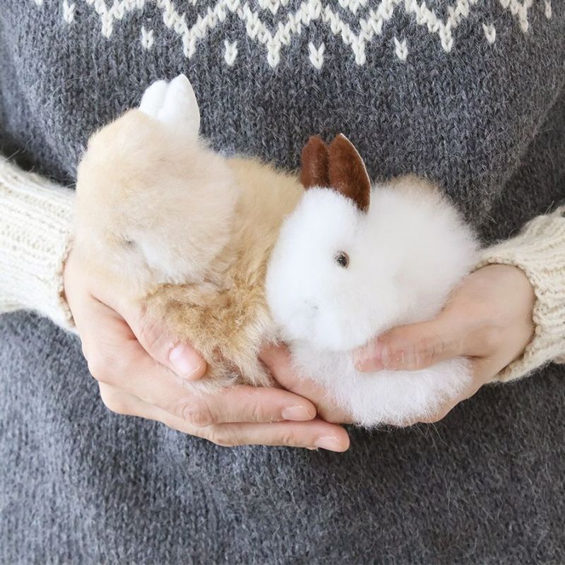 Alpaca Rabbit - S