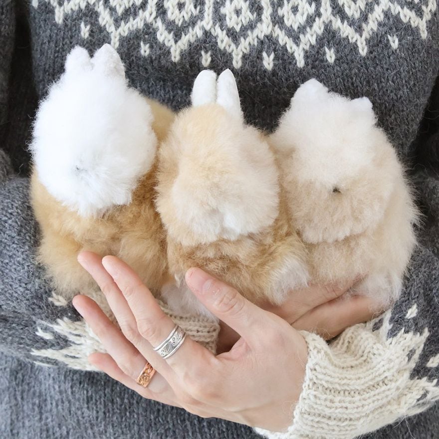 Alpaca Rabbit - M